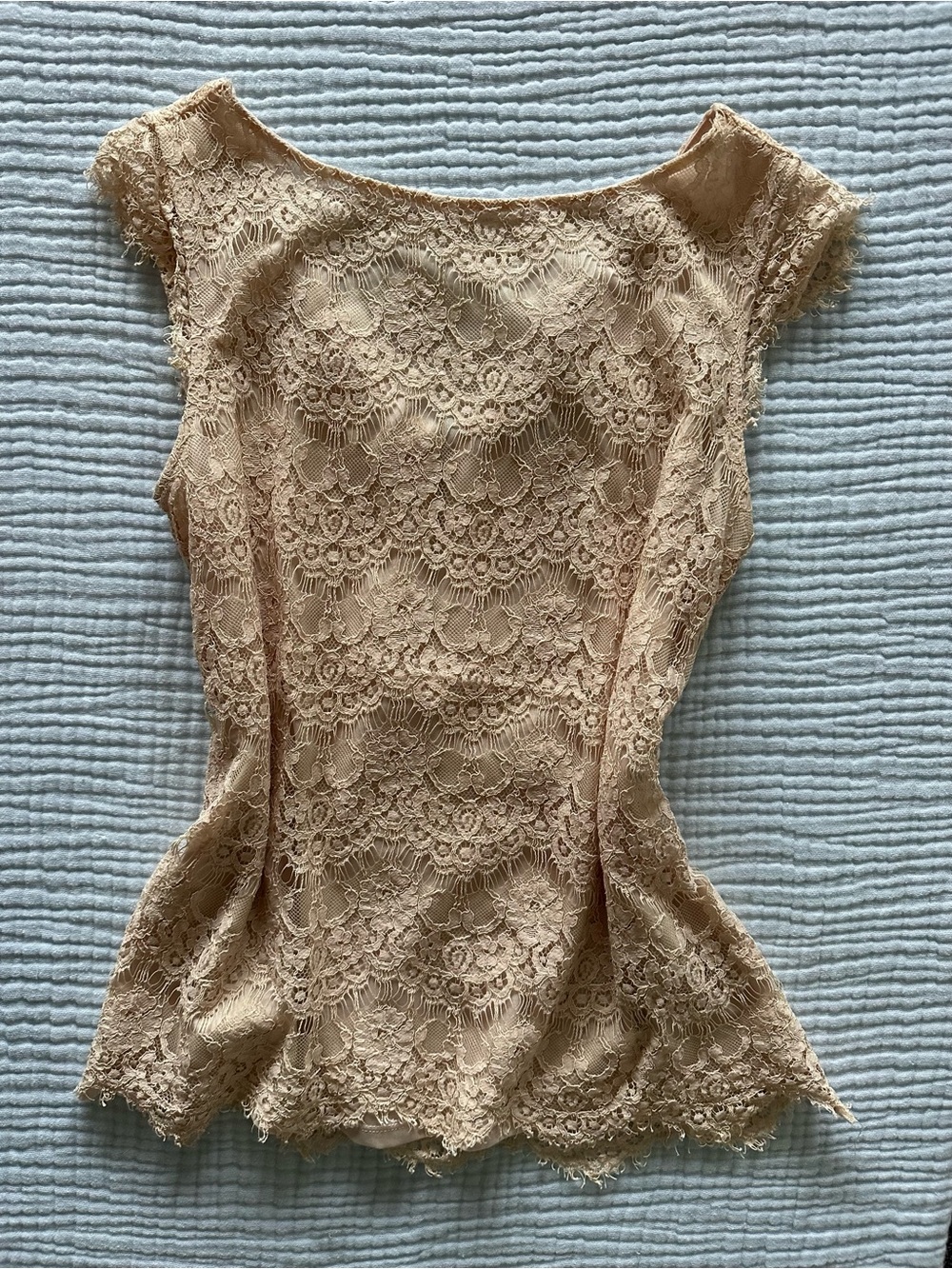 The Limited lace top